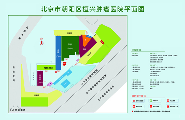 骚逼扣逼视频高H北京市朝阳区桓兴肿瘤医院平面图